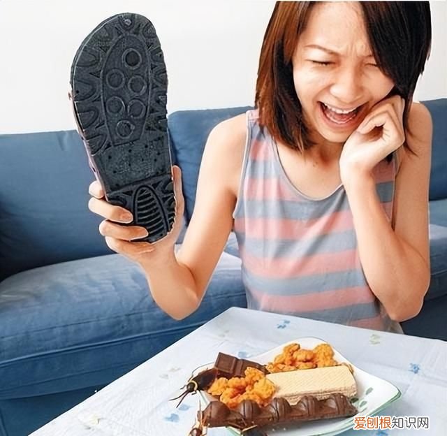 为什么发现蟑螂不能直接用脚踩死