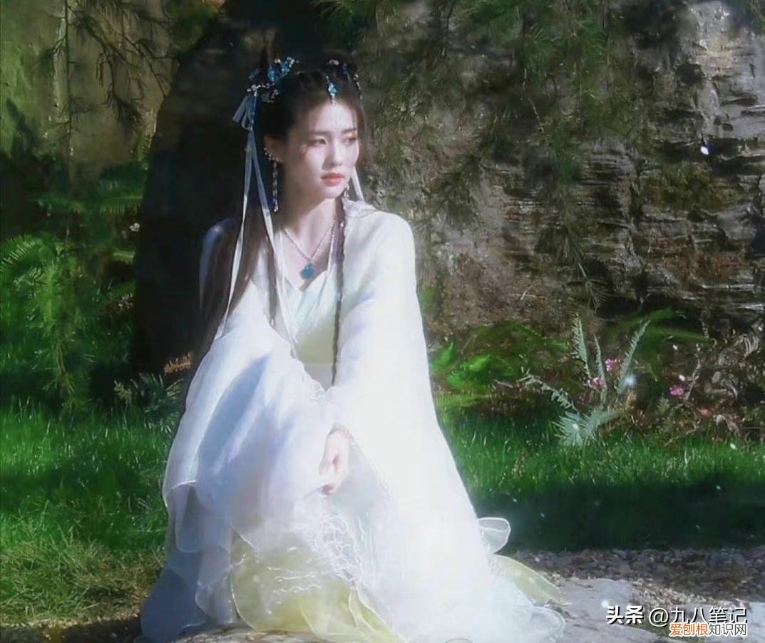 赵露思白鹿什么关系