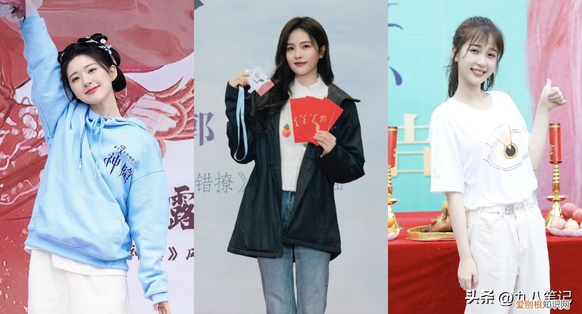 赵露思白鹿什么关系