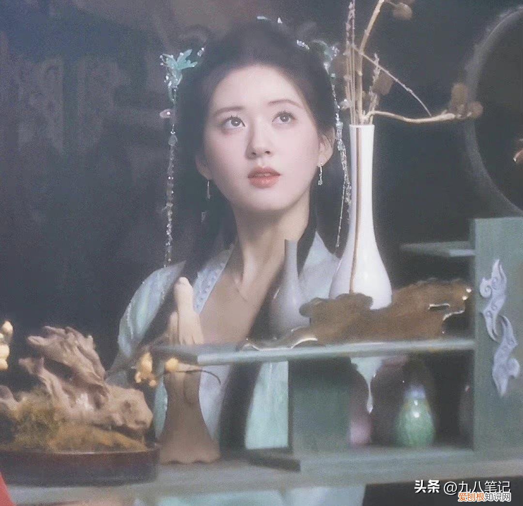 赵露思白鹿什么关系