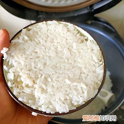 牛肉咖喱饭的做法 最正宗的做法