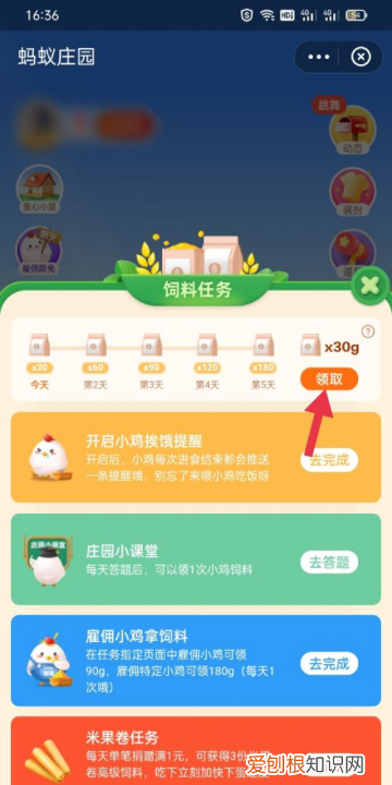 蚂蚁庄园怎么玩,蚂蚁庄园该怎么样领饲料