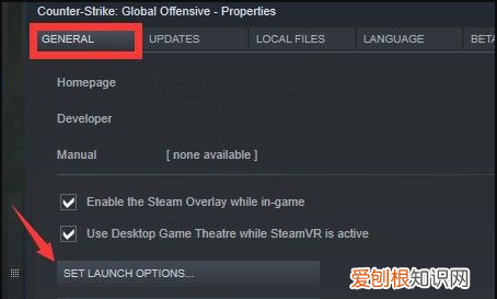 csgo怎么进国服,csgo怎么进入游戏