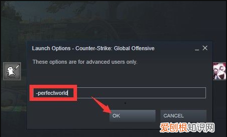 csgo怎么进国服,csgo怎么进入游戏