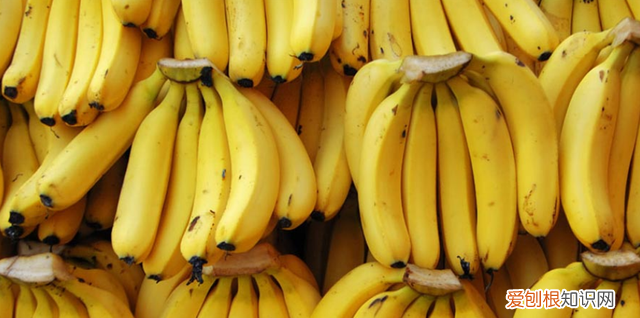 香蕉储存小技巧 蕉农怎么保存香蕉