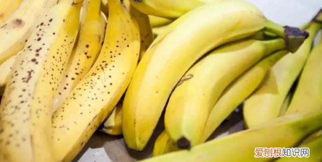 香蕉储存小技巧 蕉农怎么保存香蕉
