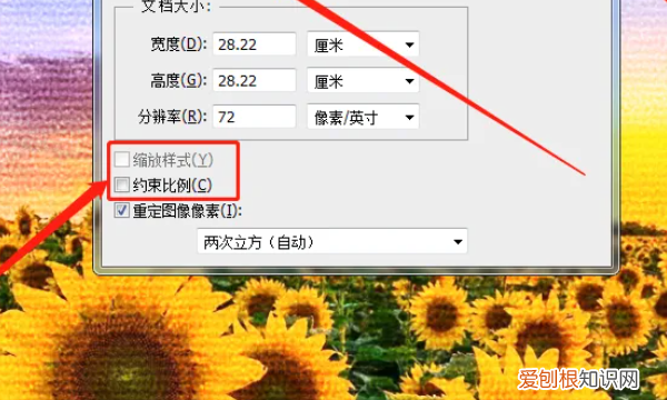 ps怎么样才能调整大小,ps怎么修改大小尺寸,但不裁剪图片