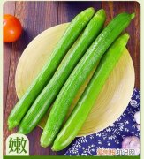 胜瓜和丝瓜区别，西瓜冬瓜黄瓜丝瓜地瓜是同一类的