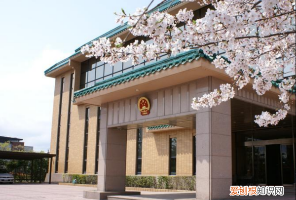 大使馆和领事馆有啥区别，大使馆和领事馆有什么区别