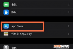 苹果怎么样关闭App自动更新