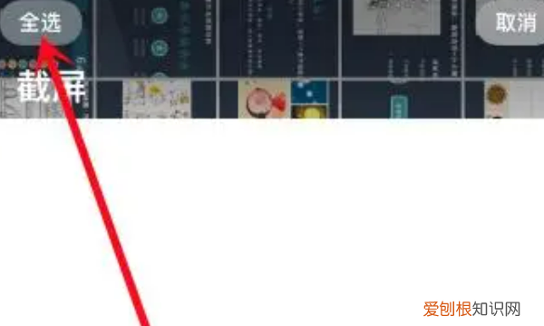 苹果照片怎么全部删除,苹果手机怎么删除相册照片视频