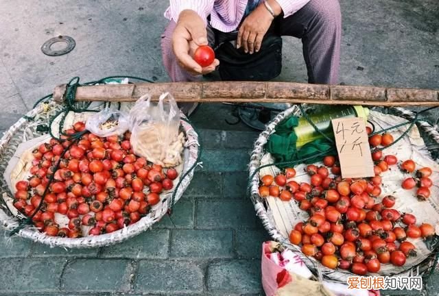 这几种野果,十个武汉人里九个没吃过是什么