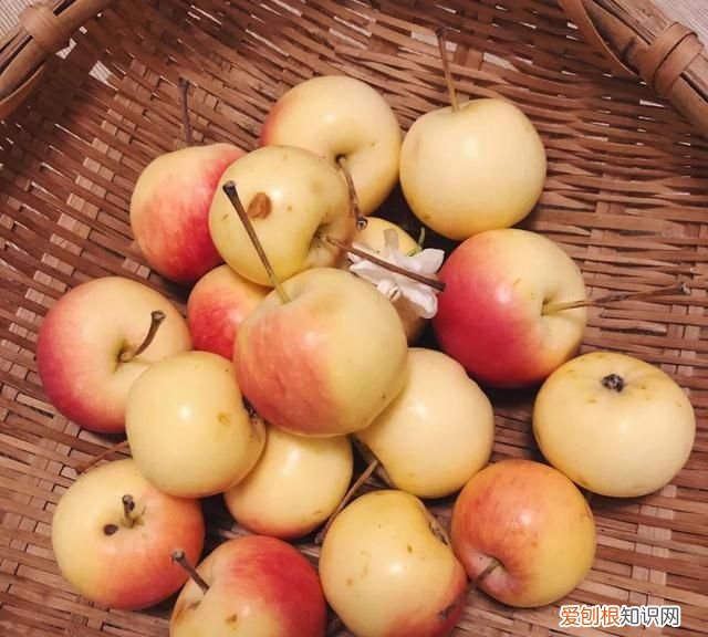 这几种野果,十个武汉人里九个没吃过是什么