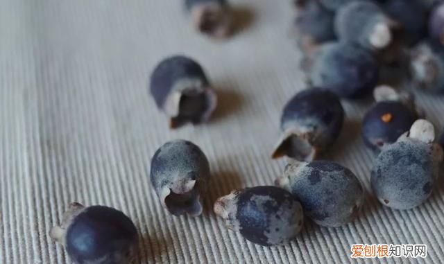 这几种野果,十个武汉人里九个没吃过是什么