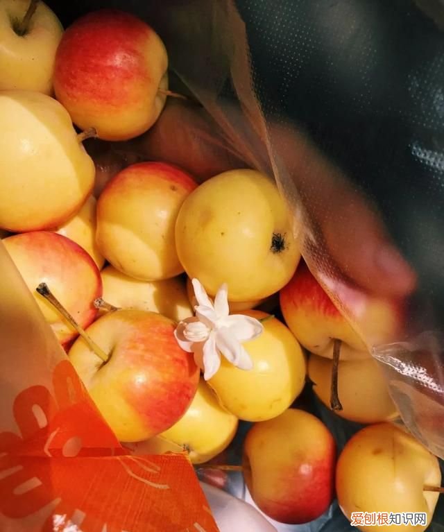 这几种野果,十个武汉人里九个没吃过是什么