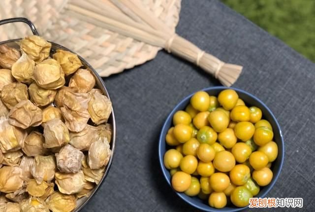 这几种野果,十个武汉人里九个没吃过是什么