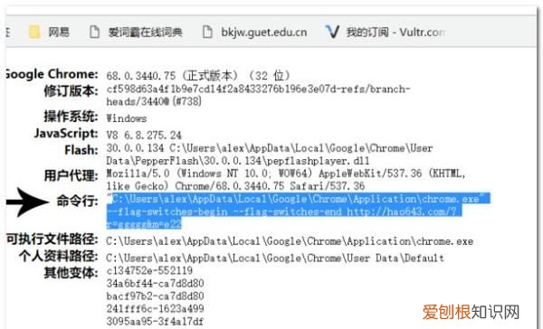 谷歌浏览器如何设置首页网址,怎么才能设置谷歌浏览器的主页