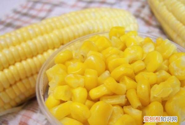 一个玉米的热量是多高,一根玉米的热量大概是多少