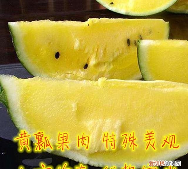 菠萝蜜西瓜的适合种植时间