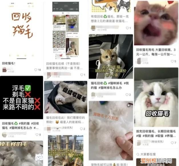 做垃圾生意能不能赚钱,捡垃圾卖废品可以赚钱吗