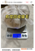 做垃圾生意能不能赚钱,捡垃圾卖废品可以赚钱吗