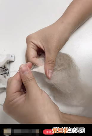 做垃圾生意能不能赚钱,捡垃圾卖废品可以赚钱吗