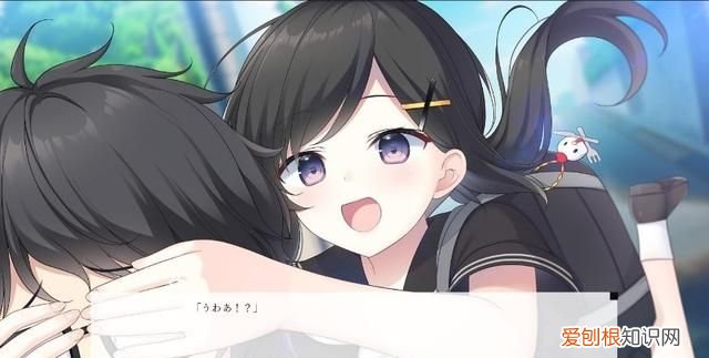 《我梦见了他》小说