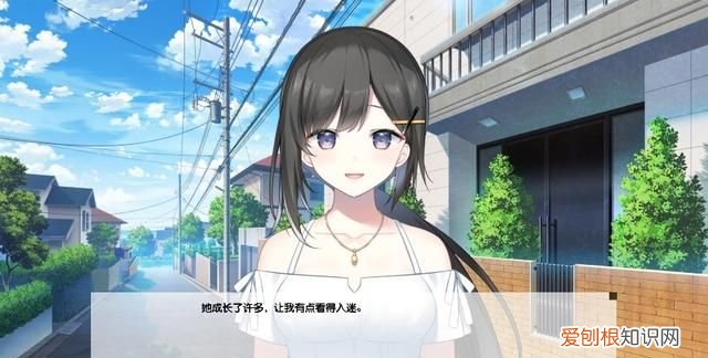 《我梦见了他》小说