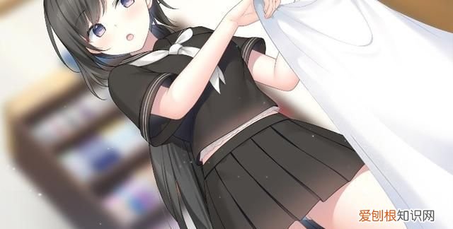 《我梦见了他》小说