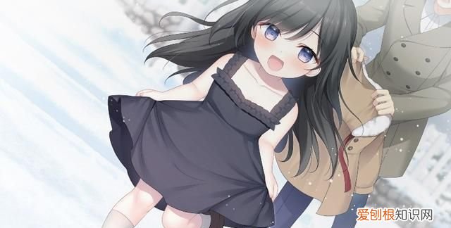 《我梦见了他》小说