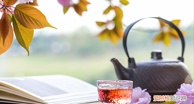 樱桃酒的简易酿制方法 樱桃酒泡多长时间就可以喝了