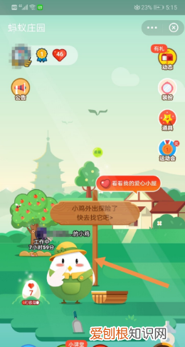 蚂蚁庄园小鸡如何才能抢食，蚂蚁庄园别人的小鸡什么时候来