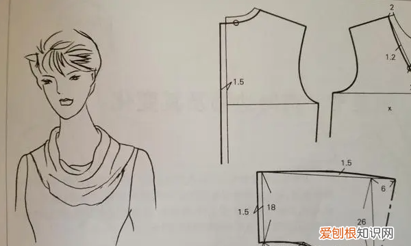 衬衫小立领的制作安装方法,十二种领子的裁剪方法图片