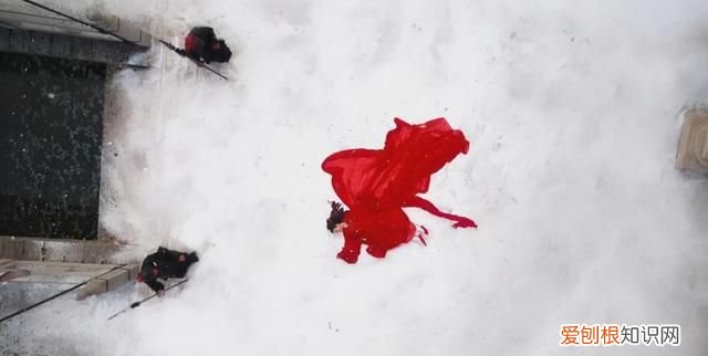 漼时宜为什么跟母亲姓,漼时宜为什么姓漼