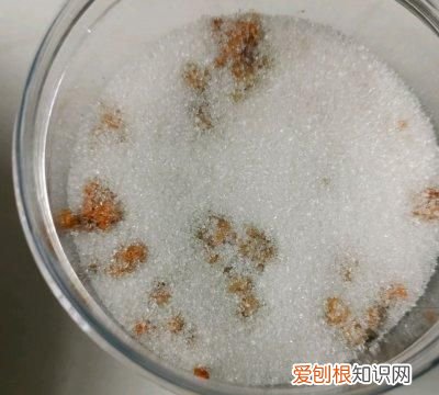 桂花蜜酱需要多少桂花 桂花蜜酱可以用来炖菜吗
