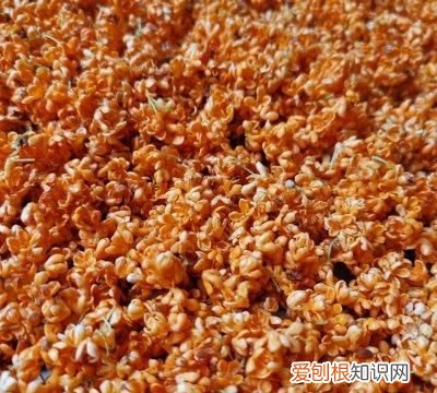 桂花蜜酱需要多少桂花 桂花蜜酱可以用来炖菜吗