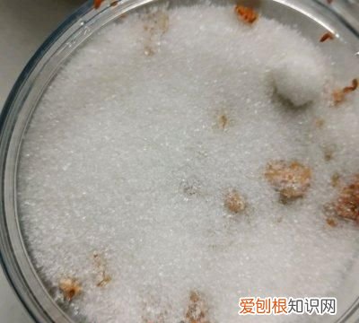 桂花蜜酱需要多少桂花 桂花蜜酱可以用来炖菜吗