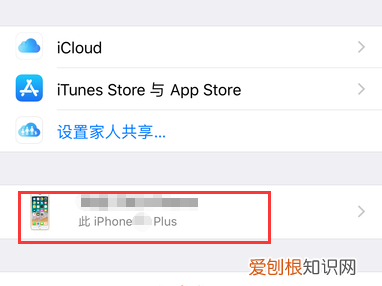 苹果的序列号代表什么，iphone序列号f开头的是什么版本