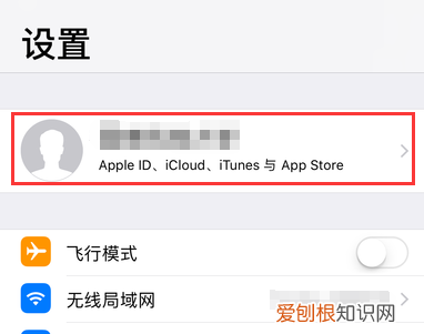 苹果的序列号代表什么，iphone序列号f开头的是什么版本