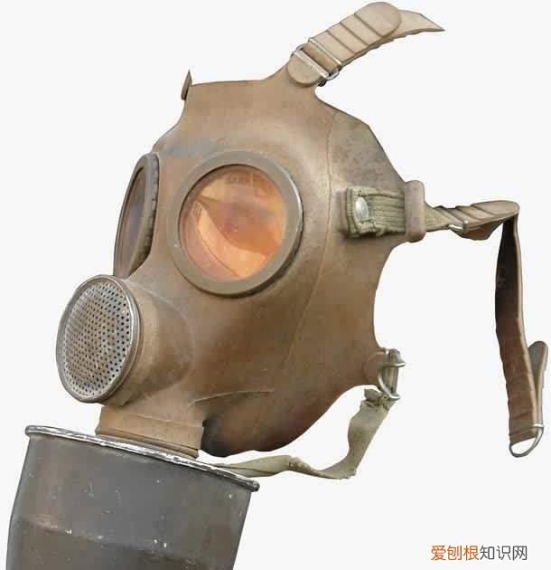 为什么防毒面具是参照野猪做成的