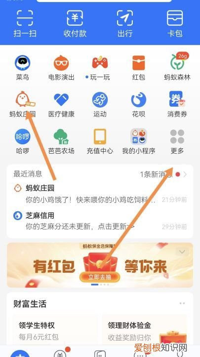 怎么揍蚂蚁庄园别人的鸡，支付宝蚂蚁庄园怎么揍别人的小鸡