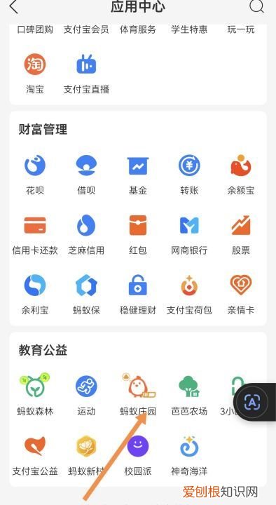 怎么揍蚂蚁庄园别人的鸡，支付宝蚂蚁庄园怎么揍别人的小鸡