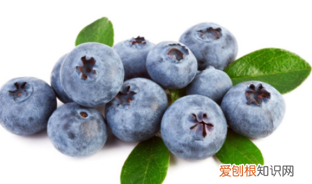 樱桃和蓝莓可以一起吃吗,樱桃与蓝莓可以一起吃吗