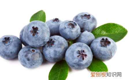 樱桃和蓝莓可以一起吃吗,樱桃与蓝莓可以一起吃吗