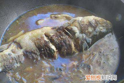 萝卜焖鱼的做法，白萝卜焖鱼的家常做法大全怎么做好吃