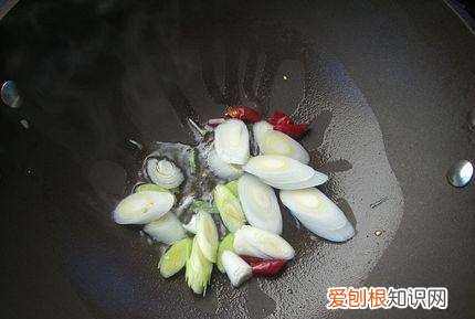 萝卜焖鱼的做法，白萝卜焖鱼的家常做法大全怎么做好吃