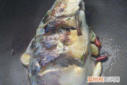 萝卜焖鱼的做法，白萝卜焖鱼的家常做法大全怎么做好吃