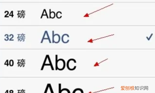 苹果字体大小应该怎样设置，苹果字体大小怎么设置方法