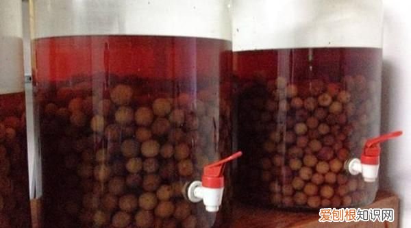 泡杨梅酒的比例是多少