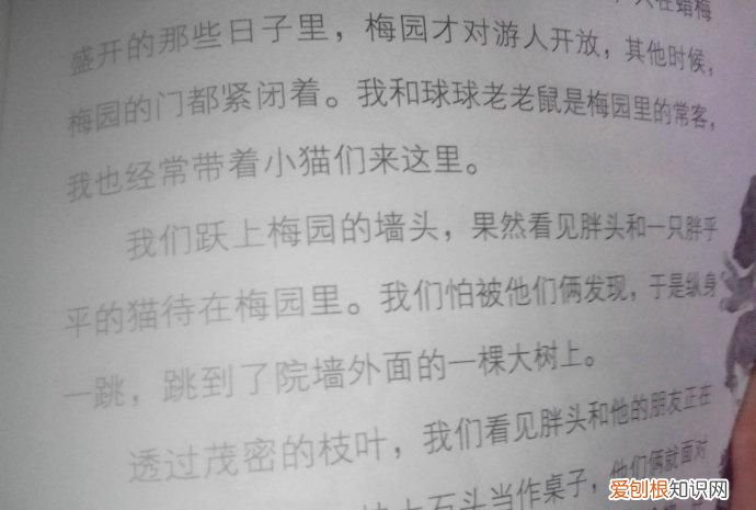 百科教你如何鉴别盗版书